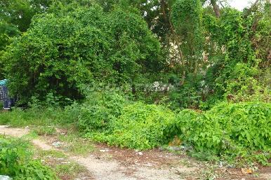 Land in Jomtien 3