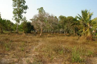 Soi Thepnimit 1