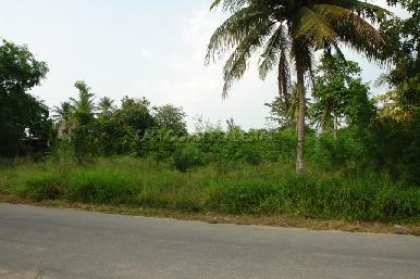 Mabprachan 4