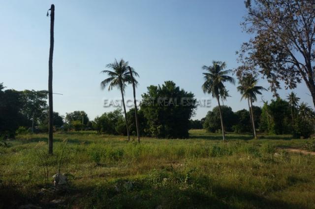 Nong Mai Kaen