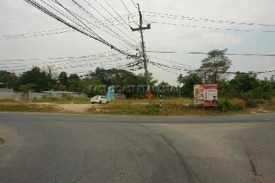 Nong palai  11