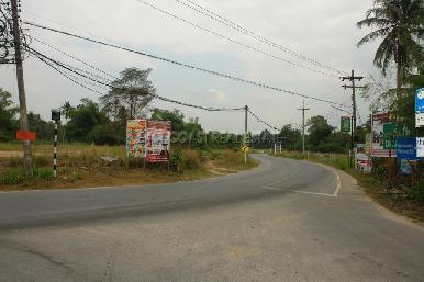 Nong palai  10
