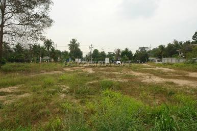 Nong palai  2