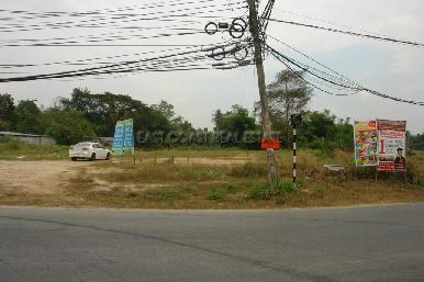 Nong palai  8