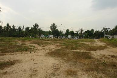 Nong palai  5