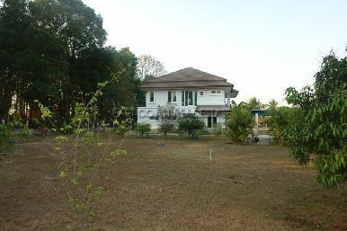 Nong palai 2