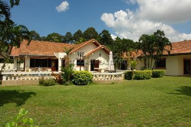Nong palai 19