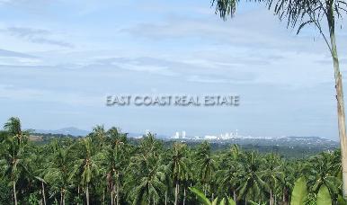 Ocean View 3