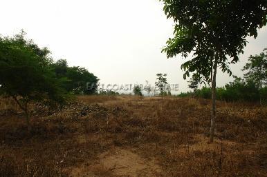 Ocean View 10
