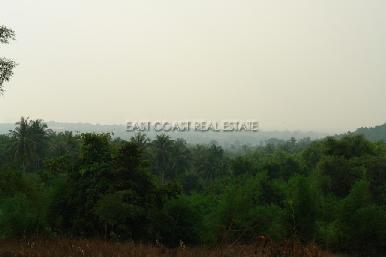 Ocean View 6