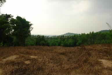 Ocean View 5