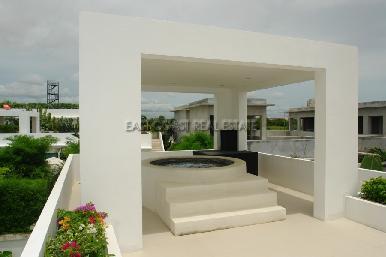 Palm Oasis 27