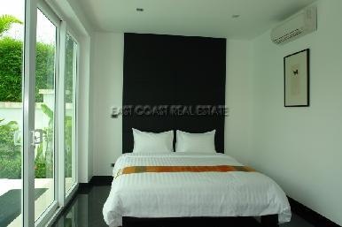 Palm Oasis 26