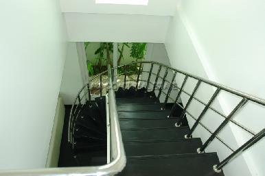 Palm Oasis 16
