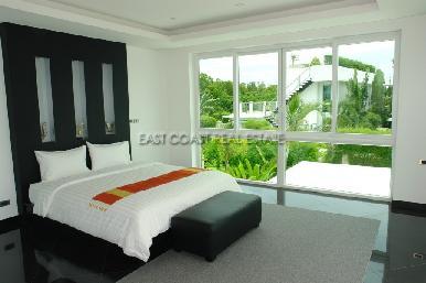Palm Oasis 13