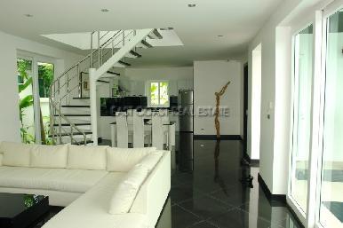 Palm Oasis 8