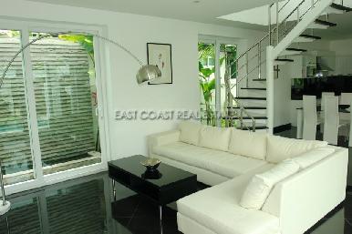 Palm Oasis 7