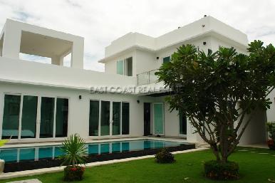 Palm Oasis 1