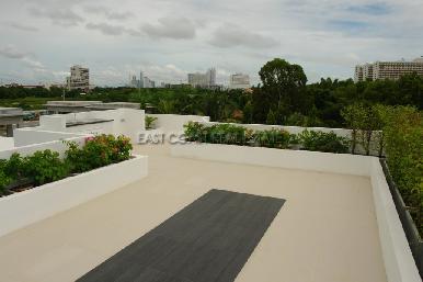 Palm Oasis 3