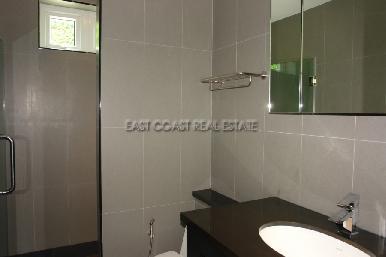 Palm Oasis 24