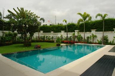 Palm Oasis 23