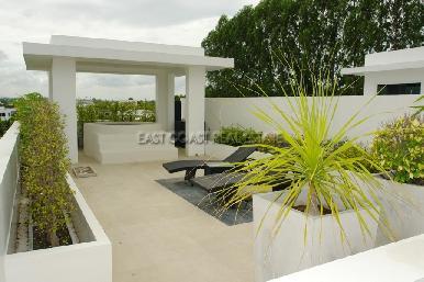 Palm Oasis 17