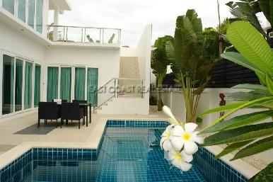 Palm Oasis 15