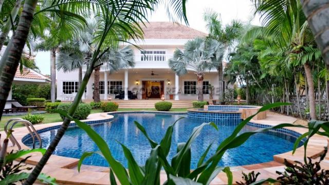 Palmtree