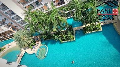 Paradise Park  10