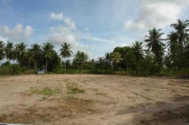 Pong Land 7