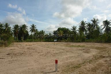 Pong Land 1