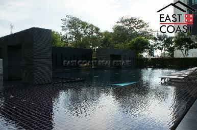 Reflection 16