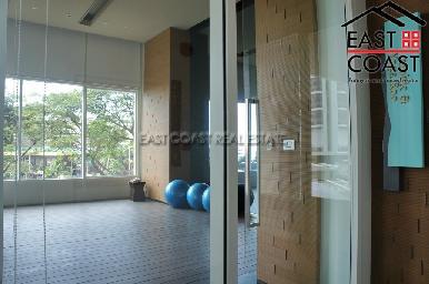 Reflections 38