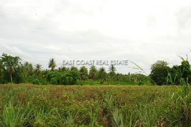 Land Soi Polo Club 3