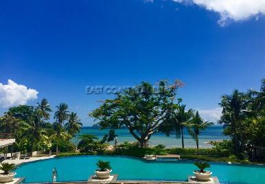 The Cove 1