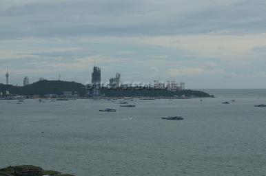 The Cove 19