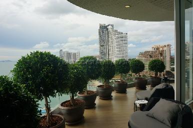 The Cove 21