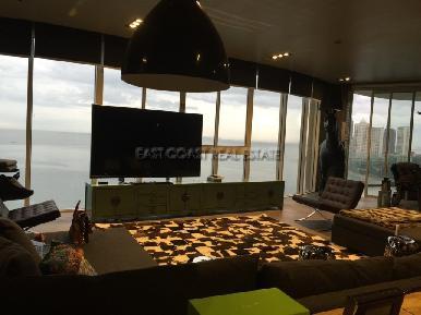 The Cove 12