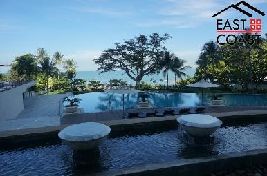 The Cove 32