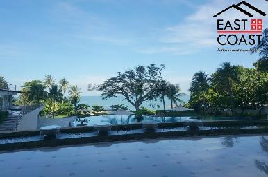 The Cove 2