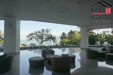 The Cove 31