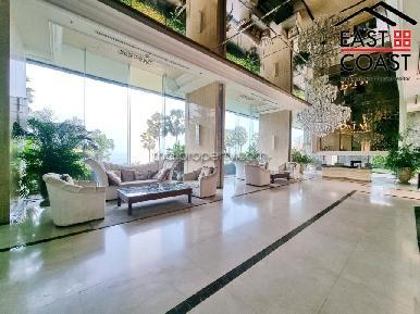 The Palm 17