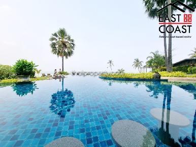 The Palm 23