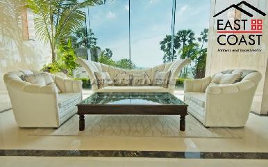 The Palm 12