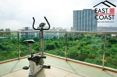 The Park 21