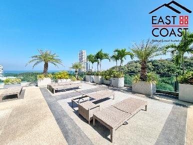 The Point  23