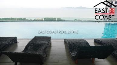 The View 13