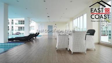 The View 15