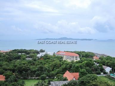 The View 12