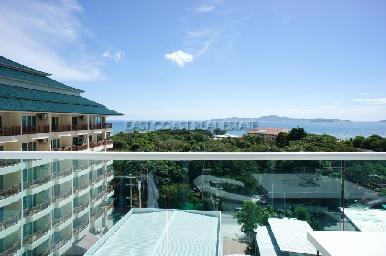 The View 5